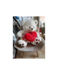 Oso de peluche