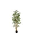PLANTA BAMBU 200 CM