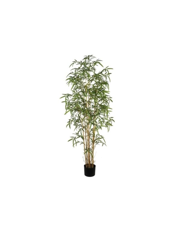 PLANTA BAMBU 200 CM