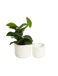 cubremacetas de fibra blanco decorativo