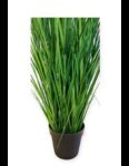 PLANTA PAPIRUS ARTIFICIAL