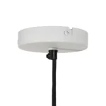 IMG-20250523-WA0047_optimized