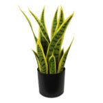 planta-sansevieria-bicolor-artificial-42cm.jpg
