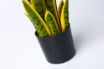 planta-sansevieria-bicolor-artificial-42cm.jpg