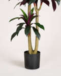 ChatGPT Imagedracena-artificial-real-touch-155cm.jpg 22 ago 2026, 21_25_11 (1)